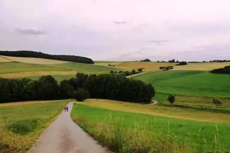 Auf die Wanderer warten viele schöne Ausblicke.