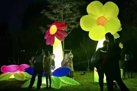 8000 Besucher kamen am Samstag zur Nacht der 1000 Lichter in den Rosengarten. 