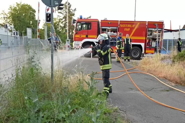 Einsatz vor wenigen Tagen im Park an der Karl-Spindler-Straße: Nachdem es im Umfeld gebrannt hatte, wässern Feuerwehrleute Veget