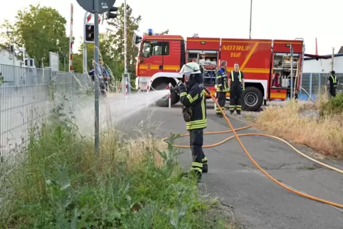 Einsatz vor wenigen Tagen im Park an der Karl-Spindler-Straße: Nachdem es im Umfeld gebrannt hatte, wässern Feuerwehrleute Veget