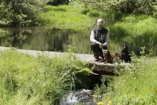 Die Triftanlage bei Frankenstein liegt im Revier von Förster Lars Schelbert, der hier mit seinen beiden Hunden unterwegs ist.