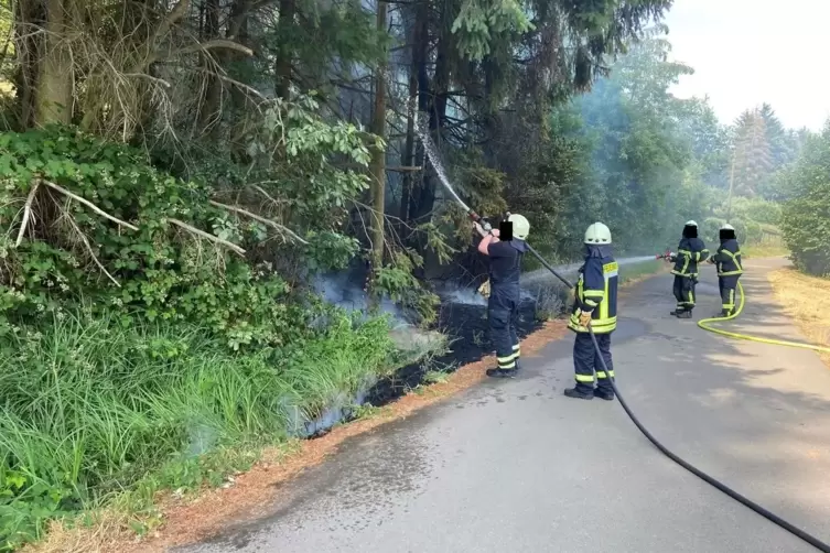 30 Wehrleute waren im Einsatz. 