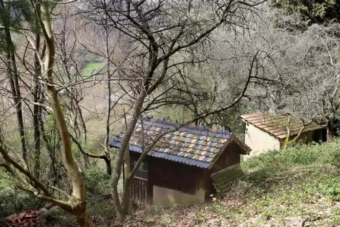 In Ramberg stehen im Wald diverse Schwarzbauten – einige vielleicht schon seit bald 100 Jahren.