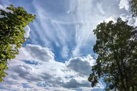 Sonne und Wolken wechseln sich in der ersten Wochenhälfte ab. 