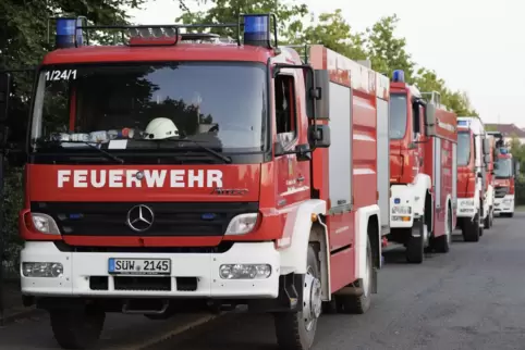 Mitte Juni hatte ein Waldbrand zwischen Rodalben und Pirmasens für einen Großeinsatz der Feuerwehren gesorgt. 