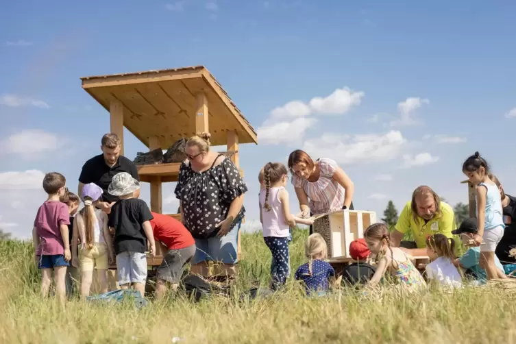 Dennis Wetzel, Julia Soyez, Jana Braun und Walter Gerwien (von links) weisen die jungen Baumeister in den Innenausbau des Holztu