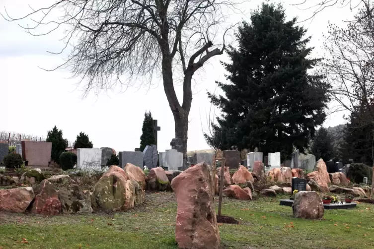 Die Naturbegräbnisstätte in Albersweiler vor zehn Jahren. 