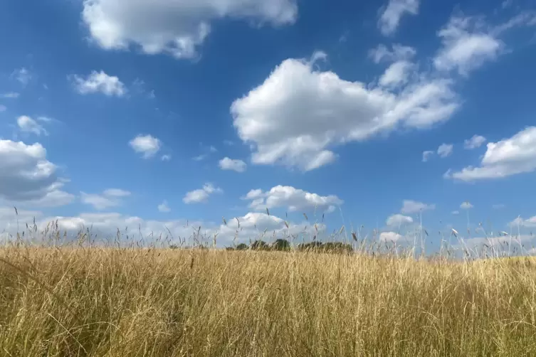 Einen Sommernachmittag in der Alten Welt hat unsere Leserin Angela Welle im Foto festgehalten: Strahlender Sonnenschein war fast