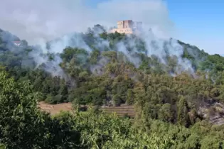 August 2022: Der Privatwald unterhalb des Hambacher Schlosses brennt.