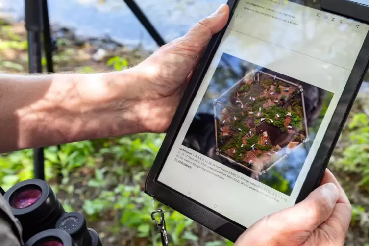 Blick von oben: Das Drohnenbild wird aufs Tablet übertragen.