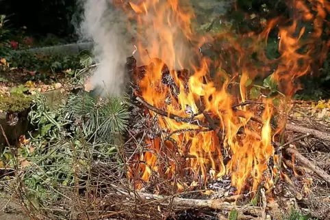 gartenfeuer-