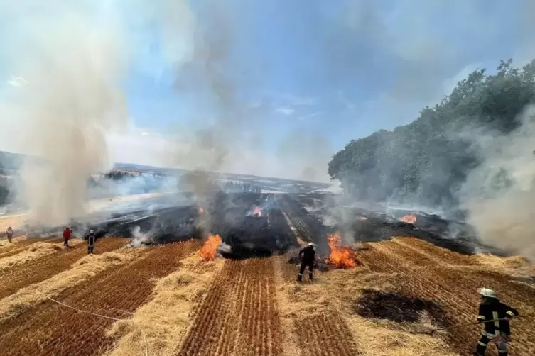 Circa anderthalb Stunden hatten die Einsatzkräfte mit der Bekämpfung des Feuers zu tun. 