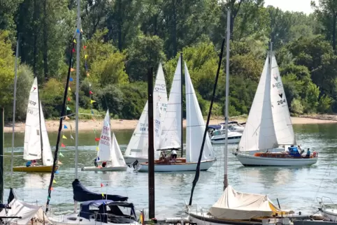 Wendepunkt: Die Boote bei der SG Waldsee.