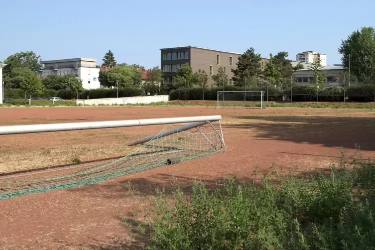 Der Sportplatz neben der BBS-Sporthalle gammelt schon länger vor sich hin. 