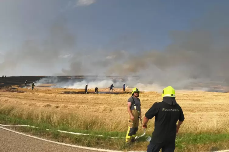 Schwerstarbeit für die Feuerwehr: Der Brand bei Schönborn am Montagabend war eine große Herausforderung. 