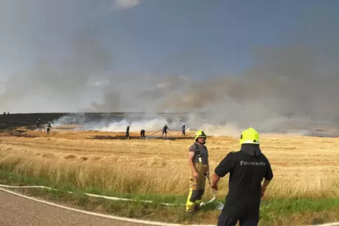 Schwerstarbeit für die Feuerwehr: Der Brand bei Schönborn am Montagabend war eine große Herausforderung. 