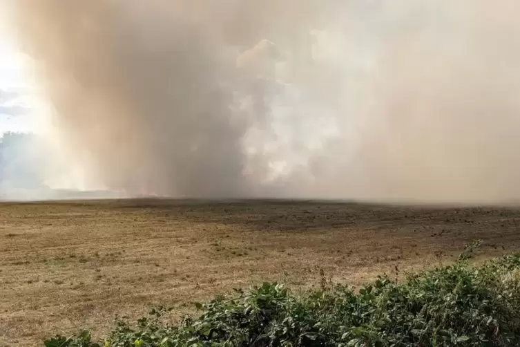 Der Feldbrand breitete sich auf einer Fläche von etwa 15.000 Quadratmetern aus. 