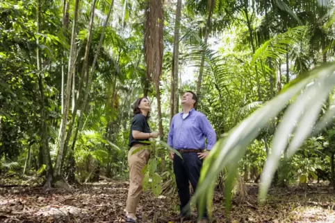 Veritable Charmeoffensive: Unter anderem die deutschen Minister Annalena Baerbock und Hubertus Heil (hier auf der Insel Combu in