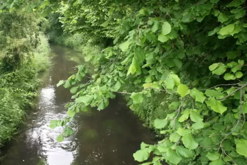 Wasser, das in den Rehbach fließt, soll umgeleitet werden. 