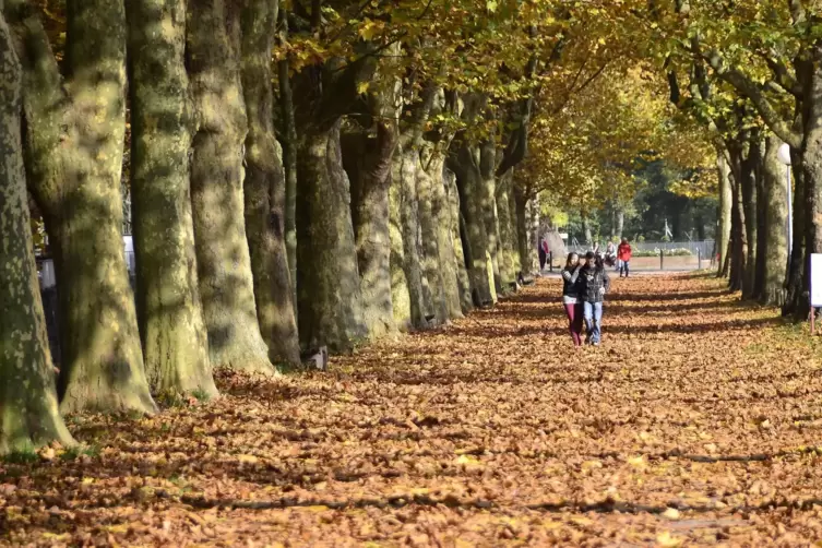 Wenn der Rat das nächste Mal tagt, ist es Herbst, und dann stehen auch für die Parteien wichtige Entscheidungen an.