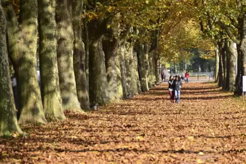 Wenn der Rat das nächste Mal tagt, ist es Herbst, und dann stehen auch für die Parteien wichtige Entscheidungen an.