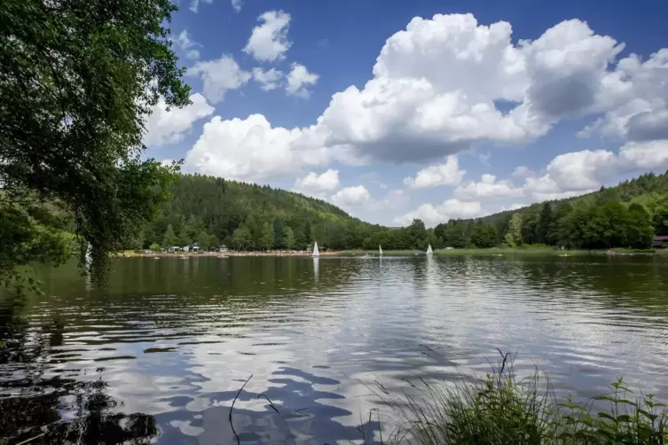 Der Gelterswoog leidet seit Jahren unter Wasserknappheit.