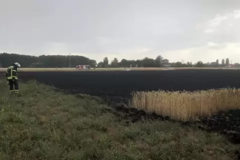 Alles Asche: Ein Feuer hat rund zwei Hektar Getreide vernichtet.