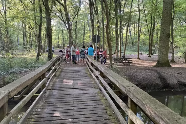 Mit dem Fahrrad im Wald unterwegs: Förster Georg Spang zeigte, welche Flächen für das Programm „stillgelegt“ werden sollen – zum