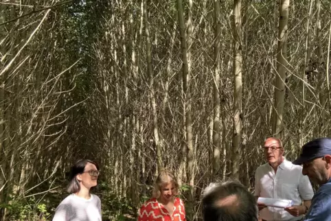 Axel Schönbeck (rechts im weißen Hemd) erklärt Ministerin Karin Eder und der Landtagsabgeordneten Lisett Stuppy, wie die Pappela