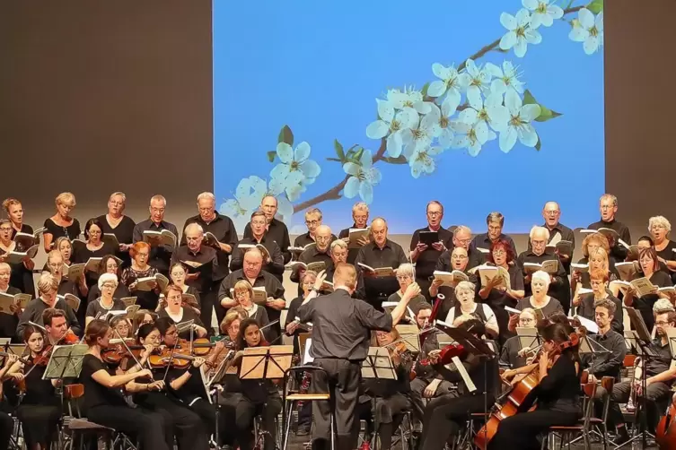 Der Mozartchor singt Haydn.