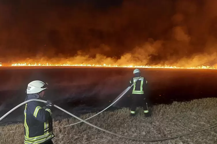 Mysteriöse Brandserie in der Nacht auf Donnerstag: Flammenfront bei Kindenheim. 