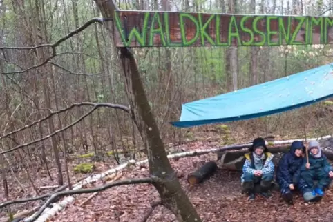 Lernen im Schulzimmer Wald. Wenn das nicht nachhaltig ist.