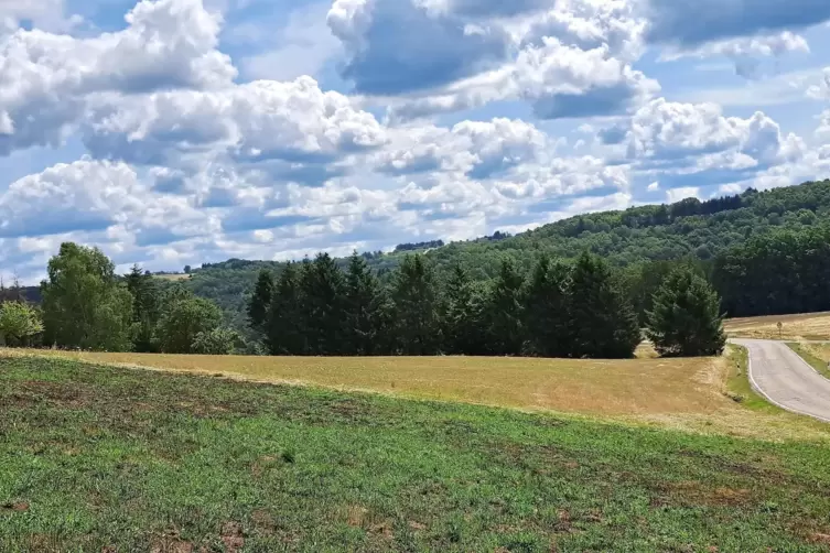 Blick auf das etwa 9,5 Hektar große Gelände an der K4 zwischen Trulben und Kröppen. 