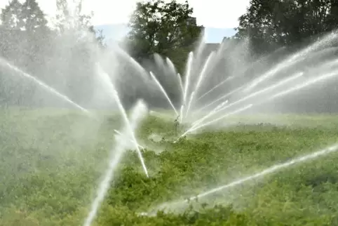 In der Landwirtschaft könne man Wasser sparen, meint Peter Keller. 