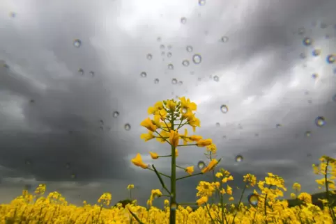 Gewitterstimmung: Unwetter mit verheerenden Folgen kannten auch die Altvorderen schon.