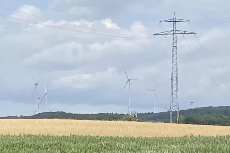  Windräder: Ob solche Anlagen in den Otterberger Wald sollen, wird kontrovers diskutiert. 