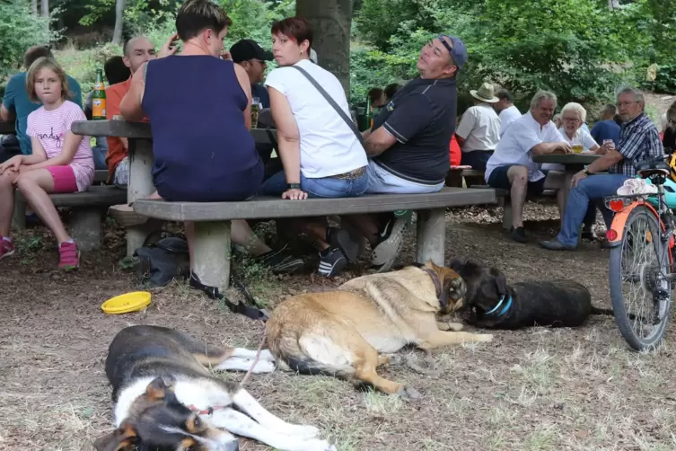 Sauhäuschenkerwe im Jahr 2018. 