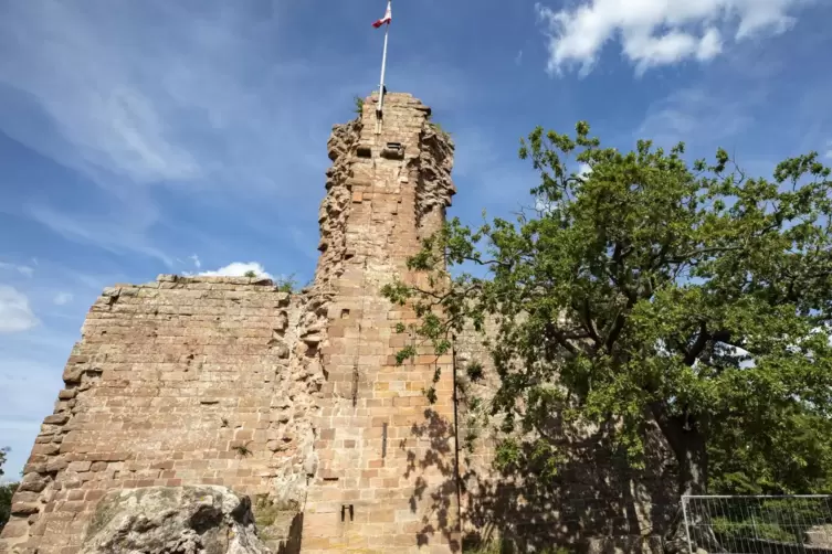 Seit zehn Jahren laufen kontinuierlich Sanierungsprojekte auf der Burg Hohenecken zum Erhalt des alten Gemäuers. 