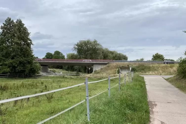 Der Feldweg im Osten der Gemeinde führt unter der B38 hindurch Richtung Impflingen. 