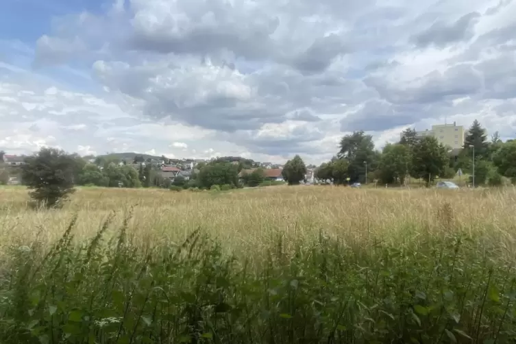 Auf ein trübes Juli-Ende folgt ein ebenso trüber August-Beginn. 