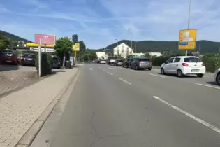 Dieser Abschnitt der Landauer Straße ist ab Freitagabend in beide Richtungen nur noch einspurig befahrbar.