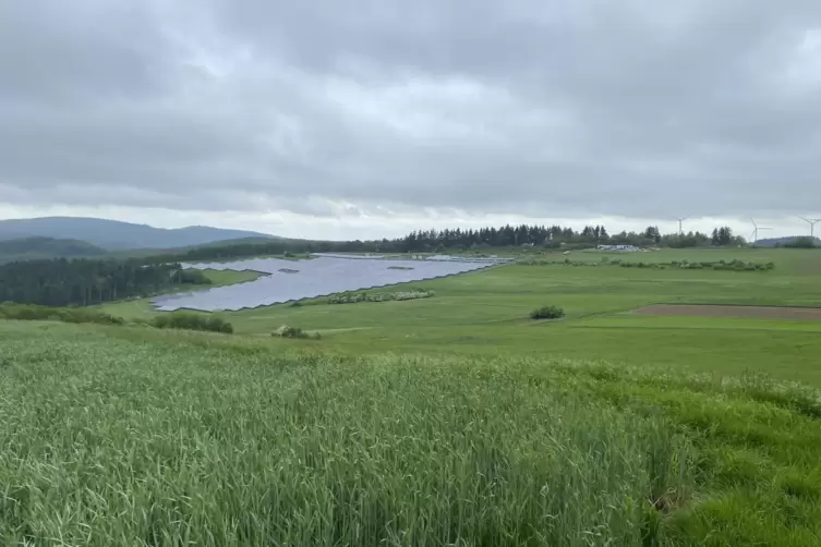 Knapp acht Hektar ist die Anlage in Hanglage oberhalb von Kreimbach-Kaulbach groß.