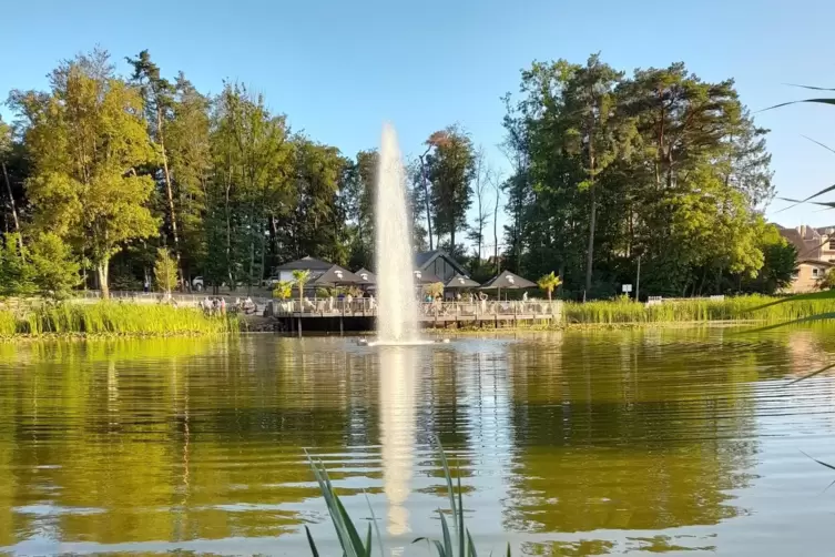 Erfrischende Fontäne: Der Seewoog in Miesenbach ist bei jedem Wetter ein gutes Ziel. 