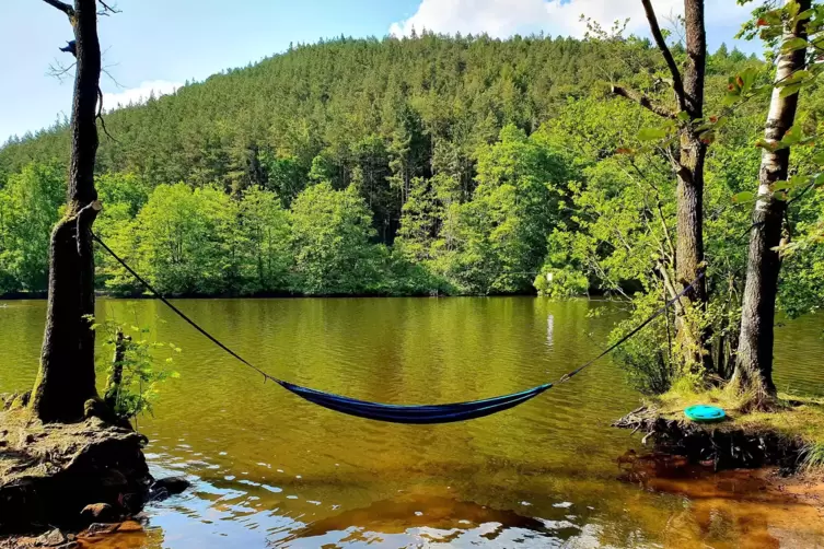  Für Annette Obentheuer ist der Weiher am Seehof unterhalb des Berwartsteins ein Idyll mitten im Pfälzerwald: „Hier findet man i