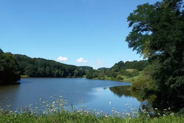 „Der Ohmbachsee liegt in der Westpfalz zwischen den Dörfern Gries und Sand. Er ist wunderschön gelegen und eignet sich super zum