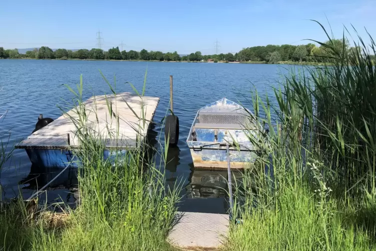 „Mein Lieblingswasser ist der Nachtweideweiher in Lambsheim“, sagt Margit Massalsky aus Maxdorf. „Ich liebe es, dort am Morgen z