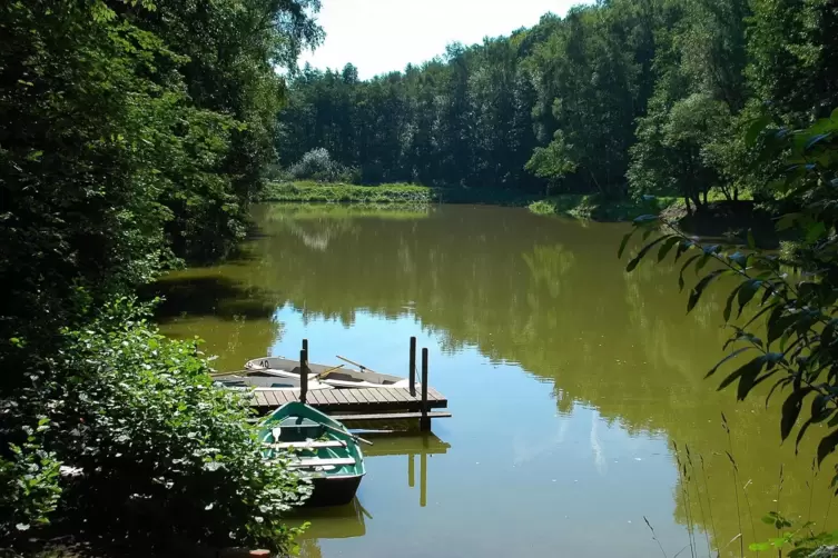 „Für die Edenkobener ist der Hilschweiher schon etwas Besonderes“, schreibt Robert Wagner aus Edesheim. Das Gewässer im Wald sei