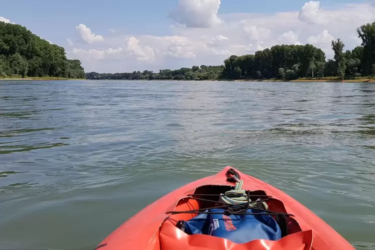 „Mein Lieblingswasser im Sommer ist der Rhein“, schreibt Tilo Ertel aus Jockgrim, hier mitten auf dem Fluss unterwegs – in der N