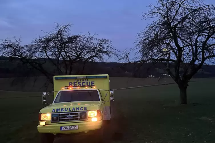 Die Contwiger Tierretter waren in Waldfischbach-Burgalben im Einsatz.