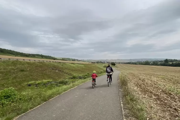 Auch über den Zellertalradweg – hier zwischen Marnheim und Albisheim – führt die Tour am 10. September. 